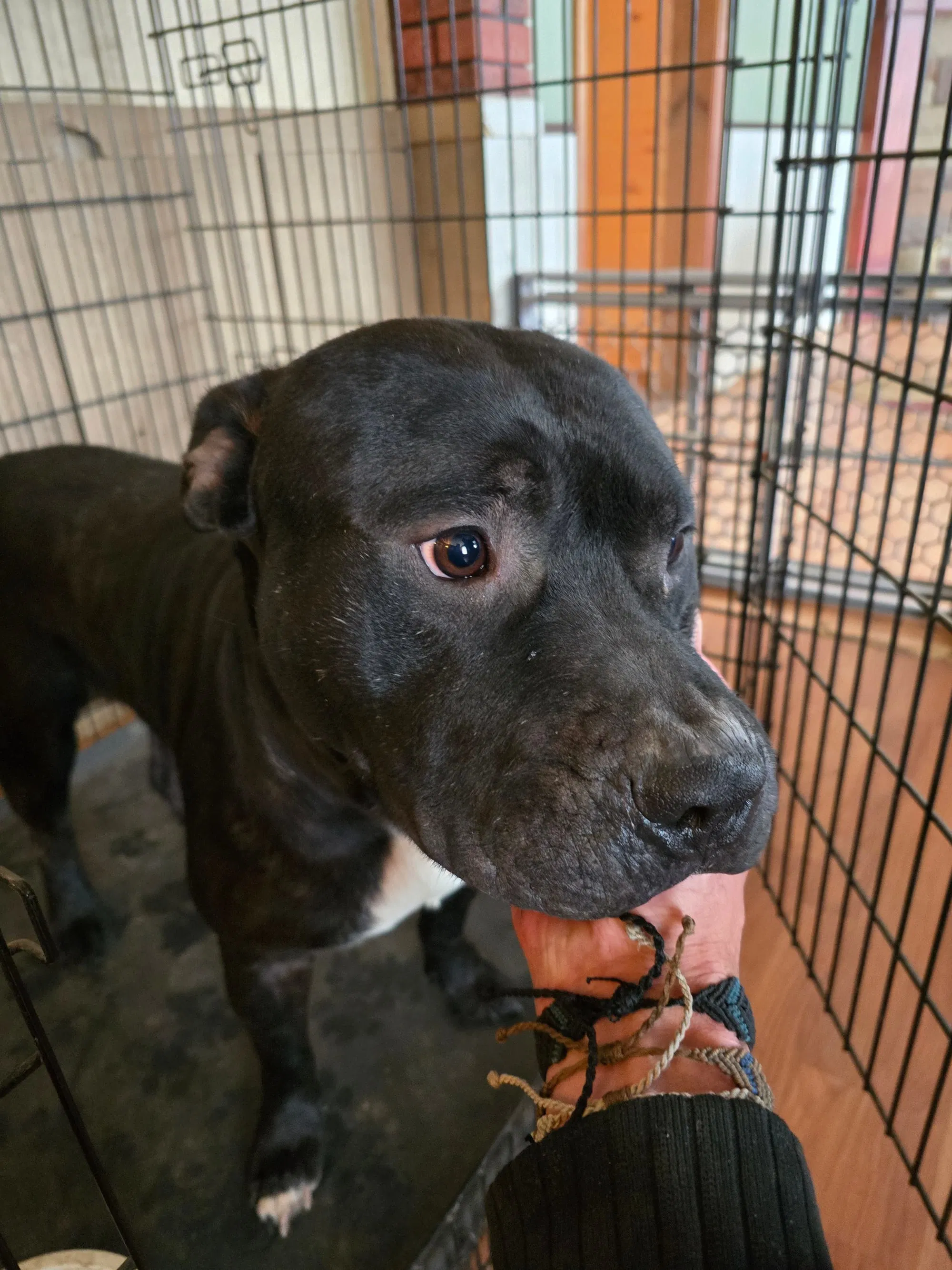 Cooper
